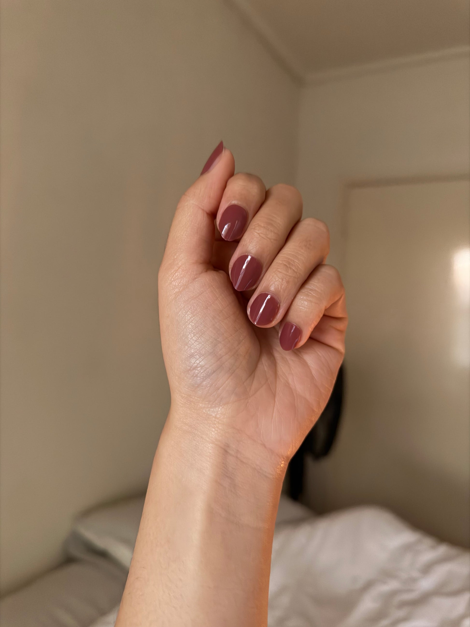 NEW Rosewood Clay DIY Semicured Gel Nail Sticker Kit